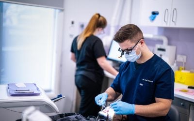 Composite Bonding in Gisborne: Cosmetic Dentistry in One Appointment