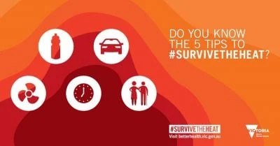 Survive the Heat
