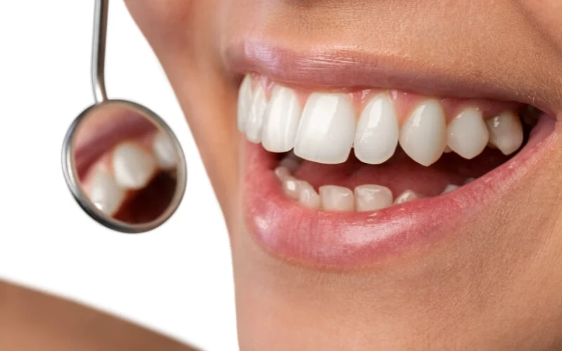 The Hardest Teeth: Which Animal Has Them Or Are They All The Same Strength?