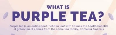 What is Purple Tea